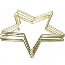 Prodotto Decorazione natalizia Stella in metallo Colore oro 20cm 6pz
