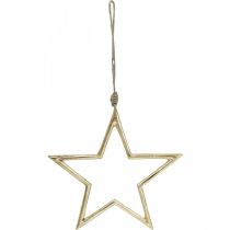 Prodotto Stella oro Decorazione natalizia per albero Metallo 24,5cm