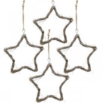 Prodotto Decorazioni natalizie stelle olmo stelle da appendere bianche 20cm 4pz