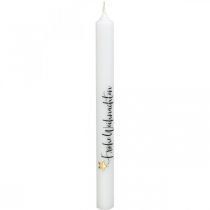 Candele natalizie Candele &quot;Buon Natale&quot; bianche 250/22mm 4pz
