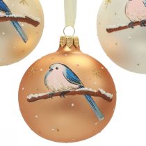 Palle di Natale in vetro Palla per albero di Natale uccello invernale Ø8cm 6 pezzi