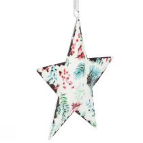 Prodotto Decorazioni natalizie aghi di cervo stella bacche Ø8cm 6 pz