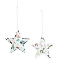 Prodotto Decorazioni natalizie: stella, cervo, rami di pino, bacche, Ø8cm, set di 6 ganci decorativi, decorazioni per l'albero di Natale