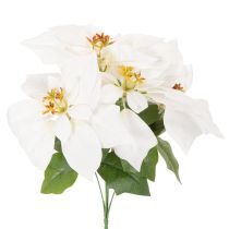 Prodotto Stella di Natale artificiale, bianca, a fiore grande, pianta decorativa, 40 cm
