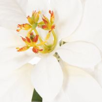 Prodotto Stella di Natale artificiale, bianca, a fiore grande, pianta decorativa, 40 cm
