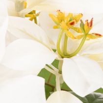 Prodotto Stella di Natale artificiale, bianca, a fiore grande, pianta decorativa, 40 cm