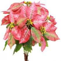 Prodotto Stella di Natale rossa rosa Stella di Natale artificiale L53cm