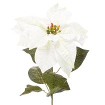 Prodotto Stella di Natale artificiale bianca, grande ramo decorativo fiorito, 65 cm, 2 pezzi