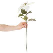 Prodotto Stella di Natale artificiale bianca, grande ramo decorativo fiorito, 65 cm, 2 pezzi
