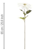 Prodotto Stella di Natale artificiale bianca, grande ramo decorativo fiorito, 65 cm, 2 pezzi