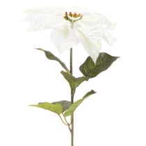 Prodotto Stella di Natale artificiale bianca, grande ramo decorativo fiorito, 65 cm, 2 pezzi