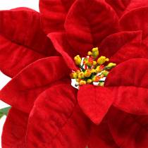 Poinsettia fiore artificiale rosso 67cm