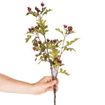 Prodotto Ramo artificiale di biancospino con bacche rosse, decorativo, 110 cm