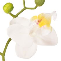 Prodotto Fiori artificiali di orchidea bianca in vaso Phalaenopsis H33cm