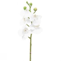 Prodotto Orchidea artificiale bianca Phalaenopsis Real Touch 32 cm