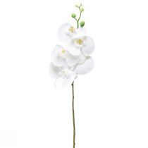 Prodotto Orchidea artificiale bianca Phalaenopsis Real Touch 85 cm