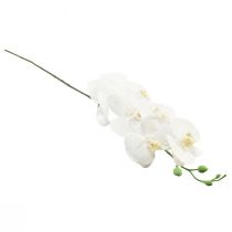 Prodotto Orchidea artificiale bianca Phalaenopsis Real Touch 85 cm