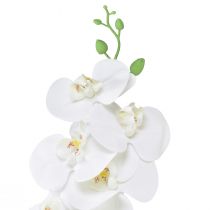 Prodotto Orchidea artificiale bianca Phalaenopsis Real Touch H83 cm