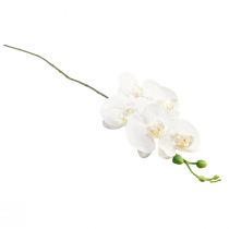 Prodotto Orchidea bianca artificiale Phalaenopsis Real Touch H83cm