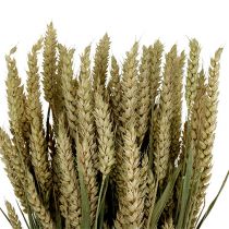 Wheat Bund Natur 1St grano decorativo