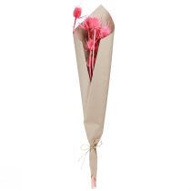 Prodotto Decorazione di cardo selvatico essiccato, cardi rosa, 53 cm, 10 teste
