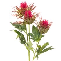 Prodotto Ramo artificiale di cardo rosso per decorazione, 67 cm, 3 pezzi