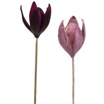 Giglio selvatico per decorazione sul gambo mix rosa, erica 45pz