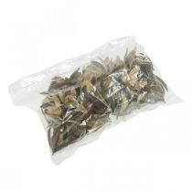 Prodotto Decorazione naturale di giglio selvatico, fiori secchi esotici, 6-8 cm, 50 pezzi