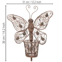 Prodotto Lanterna in metallo, decorazione da parete, farfalla, finitura ruggine, 36,5 cm