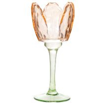 Prodotto Portacandele in vetro a forma di tulipano, stile vintage, decorazione romantica per la casa, 20 cm