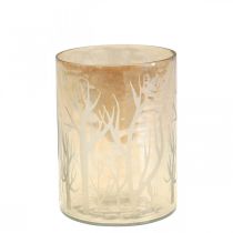 Prodotto Lanterna Vetro Decoro Alberi Marrone Tealight Vetro Ø9.5cm H13.5cm