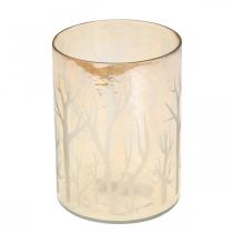 Prodotto Lanterna Vetro Decoro Alberi Marrone Tealight Vetro Ø9.5cm H13.5cm