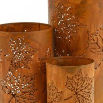 Set di 3 lanterne decorative autunnali effetto ruggine H20/15/10cm