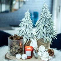 Abete invernale in vaso, addobbo natalizio, abete con neve H45cm