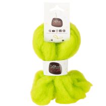 Prodotto Filato di lana morbida per decorazioni stagionali 2 m verde