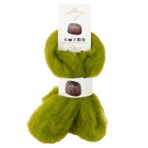Prodotto Stoppino in lana Lana infeltrita morbida per decorazioni e composizioni stagionali 2 m Verde