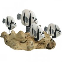 Espositore decorativo in radica di pesce in piedi Decorazione marittima 38cm