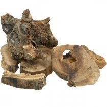 Radice di legno decorativo pezzi di legno decorazione sparsi 3-10cm 500g