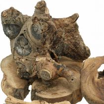 Radice di legno decorativo pezzi di legno decorazione sparsi 3-10cm 500g