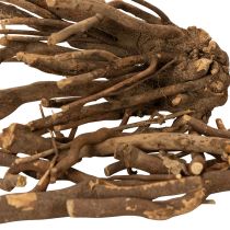 Prodotto Rami e portainnesti decorativi in legno, essiccati naturalmente, 18 cm, 500 g