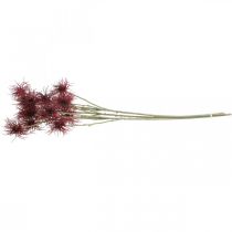 Prodotto Xanthium fiore artificiale decorazione autunnale rosso 6 fiori 80 cm 3 pezzi