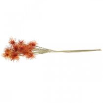 Prodotto Xanthium fiore artificiale decorazione autunnale arancione 6 fiori 80 cm 3 pezzi