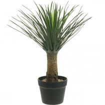 Yucca artificiale in vaso Pianta di palma artificiale in vaso H52cm