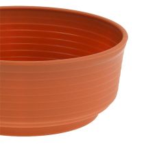 Prodotto Ciotola Z plastica 18 cm 10 pz