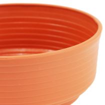 Prodotto Ciotola a Z in plastica Ø 16cm - 22cm 10 pezzi