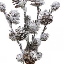 Prodotto Rami di Natale ramo di cono innevato 30 cm 5 pezzi in un fascio