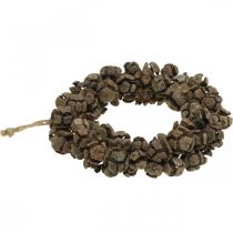 Prodotto Ghirlanda di coni ghirlanda di coni di cipresso ghirlanda di porte natura Ø20cm