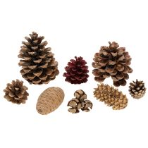 Prodotto Misto di pigne naturali per decorazioni e creazioni 2-10 cm 400 g