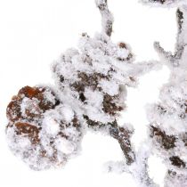 Ramo natalizio ramo deco ramo cono ramo nevicato 72 cm