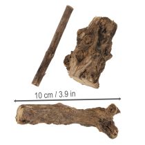 Prodotto Incantevoli radici decorative in legno per la tua casa